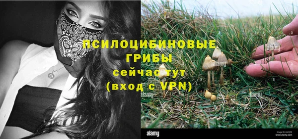 дурь Верхний Тагил