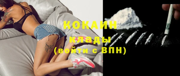 дживик Щучье